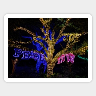 Peace, Joy, Love - night time photo of Texas holiday lights + live oak tree Sticker